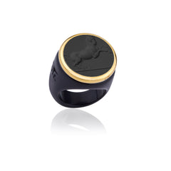 Aura Ring Horse
