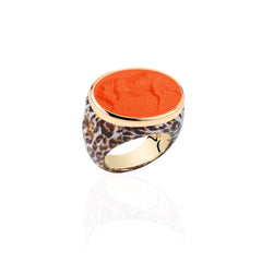Jaguar Ring The Bull