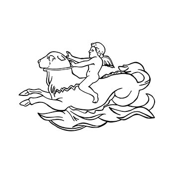 Cupid on Sea Calf