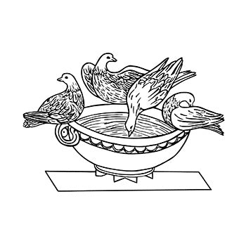 Pliny’s Doves