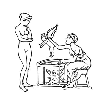 The Cupid Seller