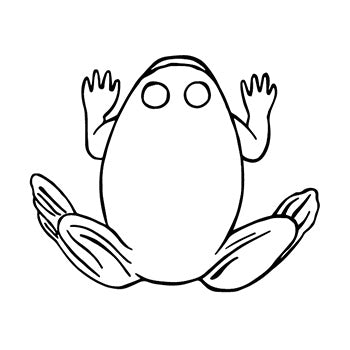 The Frog